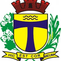 PREFEITURA MUNICIPAL DE SAO PEDRO DO TURVO - CONCURSO PUBLICO
