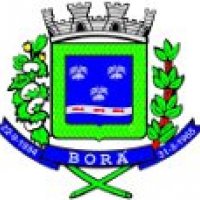 PREFEITURA MUNICIPAL DE BOR� - PROCESSO SELETIVO